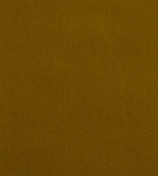 Liberty Cotton Velvet Fabric Fennel - Sample