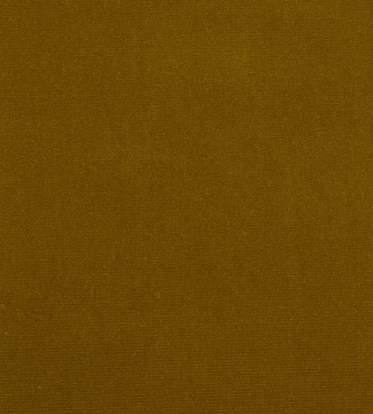 Liberty Cotton Velvet Fabric Fennel - Sample