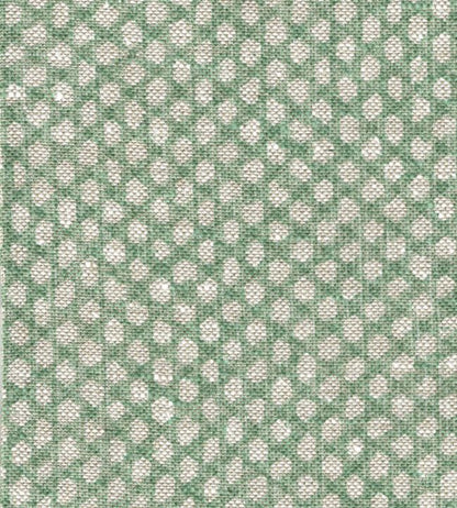 Fermoie Wicker Green N098 - Sample