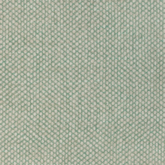 Fermoie Wicker Green N098 - Sample